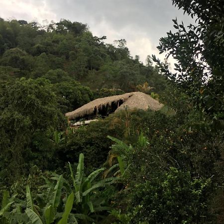 Hotel Green Ecologico La Vega  Ngoại thất bức ảnh