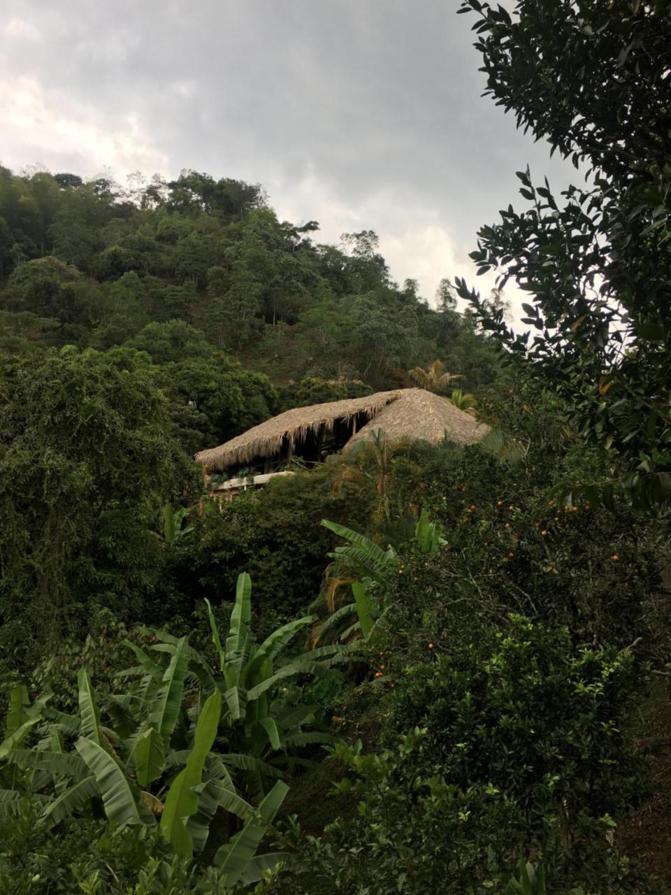 Hotel Green Ecologico La Vega  Ngoại thất bức ảnh