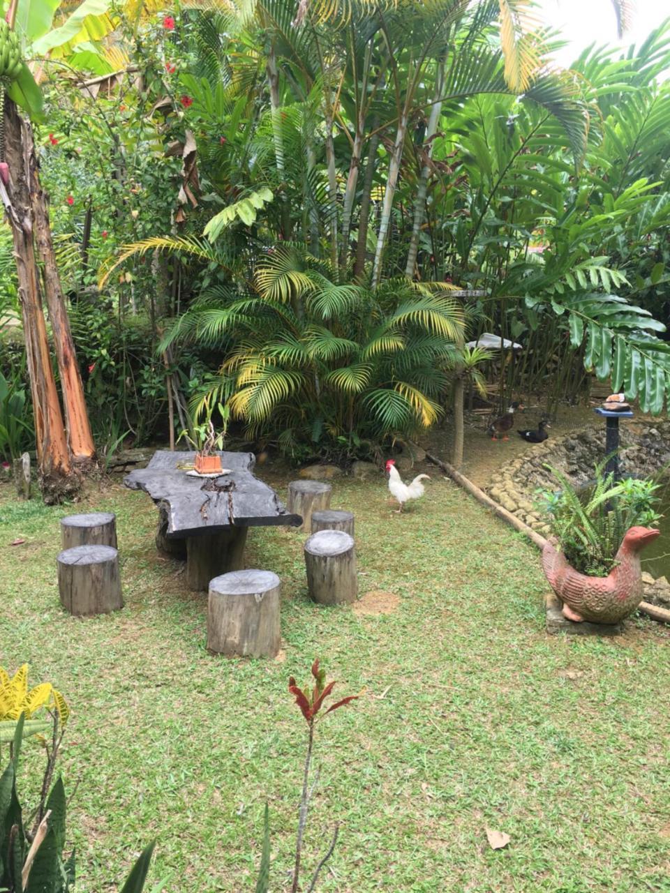 Hotel Green Ecologico La Vega  Ngoại thất bức ảnh